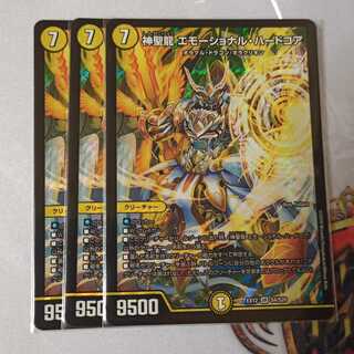 神聖龍 エモーショナル・ハードコア