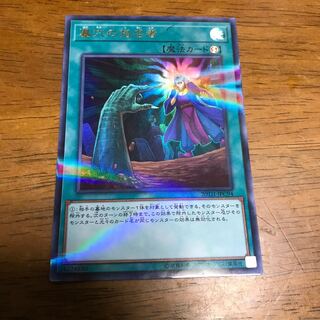 墓穴の指名者 P-UR