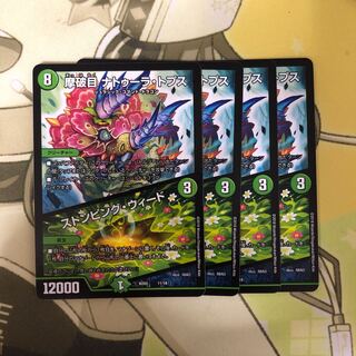 Yai様専用 ナトゥーラトプス