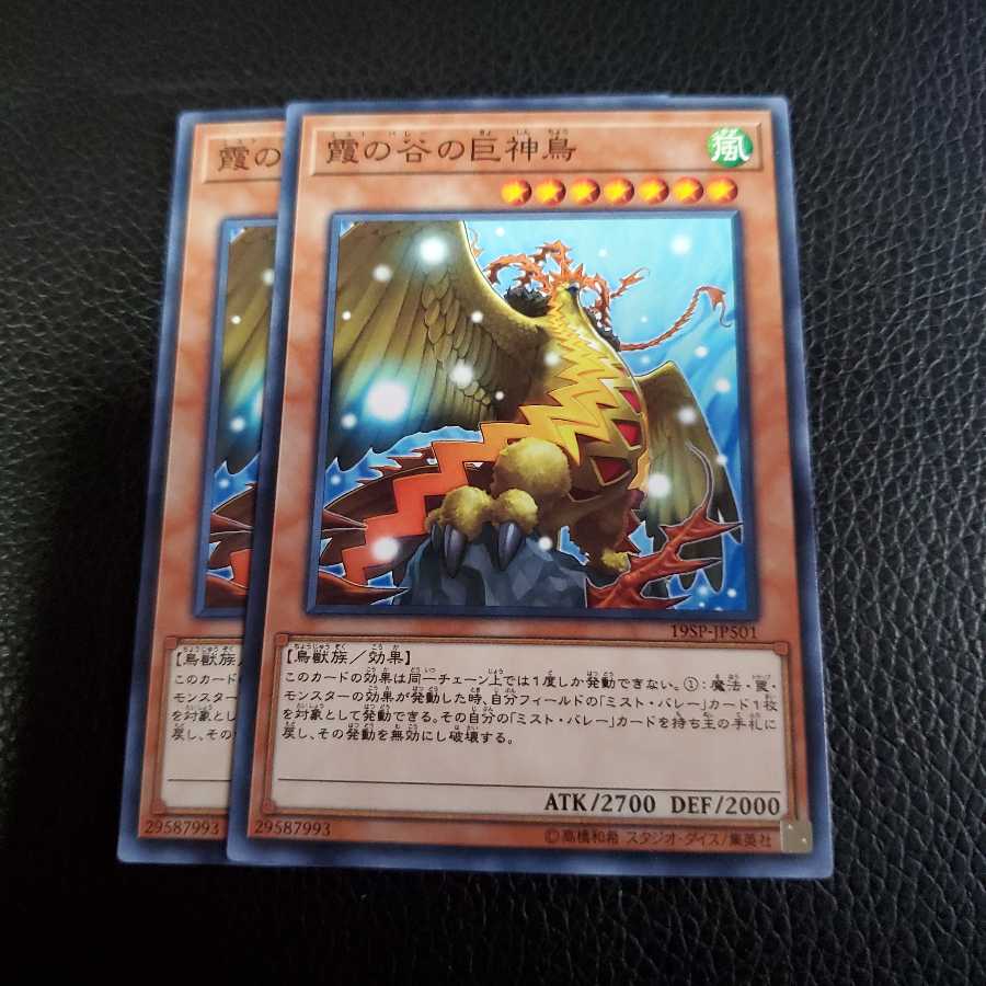 霞の谷の巨神鳥 N