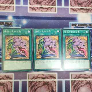 強欲で貪欲な壺