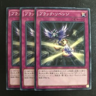 ブラック・リベンジ N