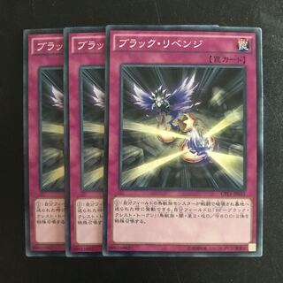 ブラック・リベンジ N