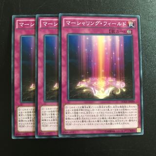 マーシャリング・フィールド N