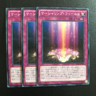 マーシャリング・フィールド N