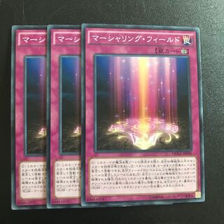 マーシャリング・フィールド N