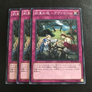 約束の地-アヴァロン- N