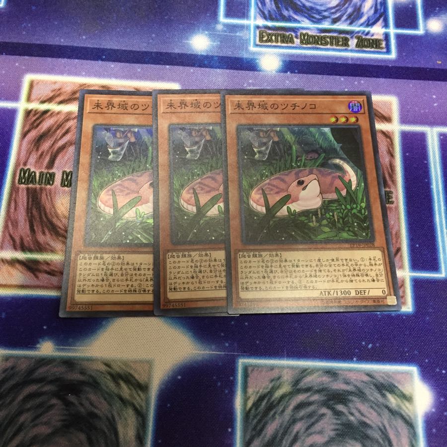 未界域のツチノコ