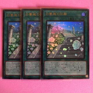 遊戯王 白薔薇の回廊 3枚 ウルトラ