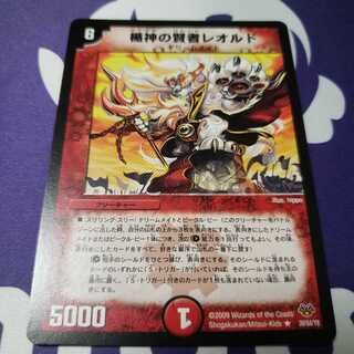 楯神の賢者レオルド