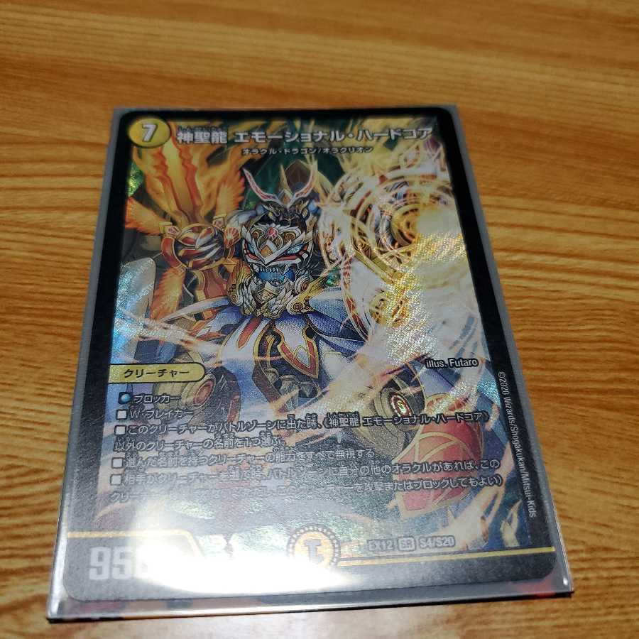 神聖龍 エモーショナル・ハードコア