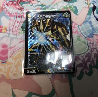 「雷光の聖騎士」