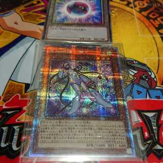 電脳堺媛-瑞々 PSE 一枚