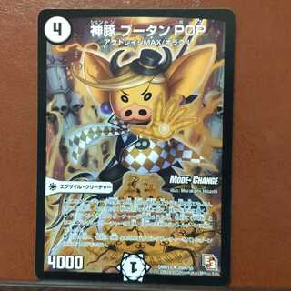 Set Discount Pork Bhutan POP