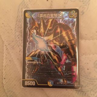 「雷光の聖騎士」