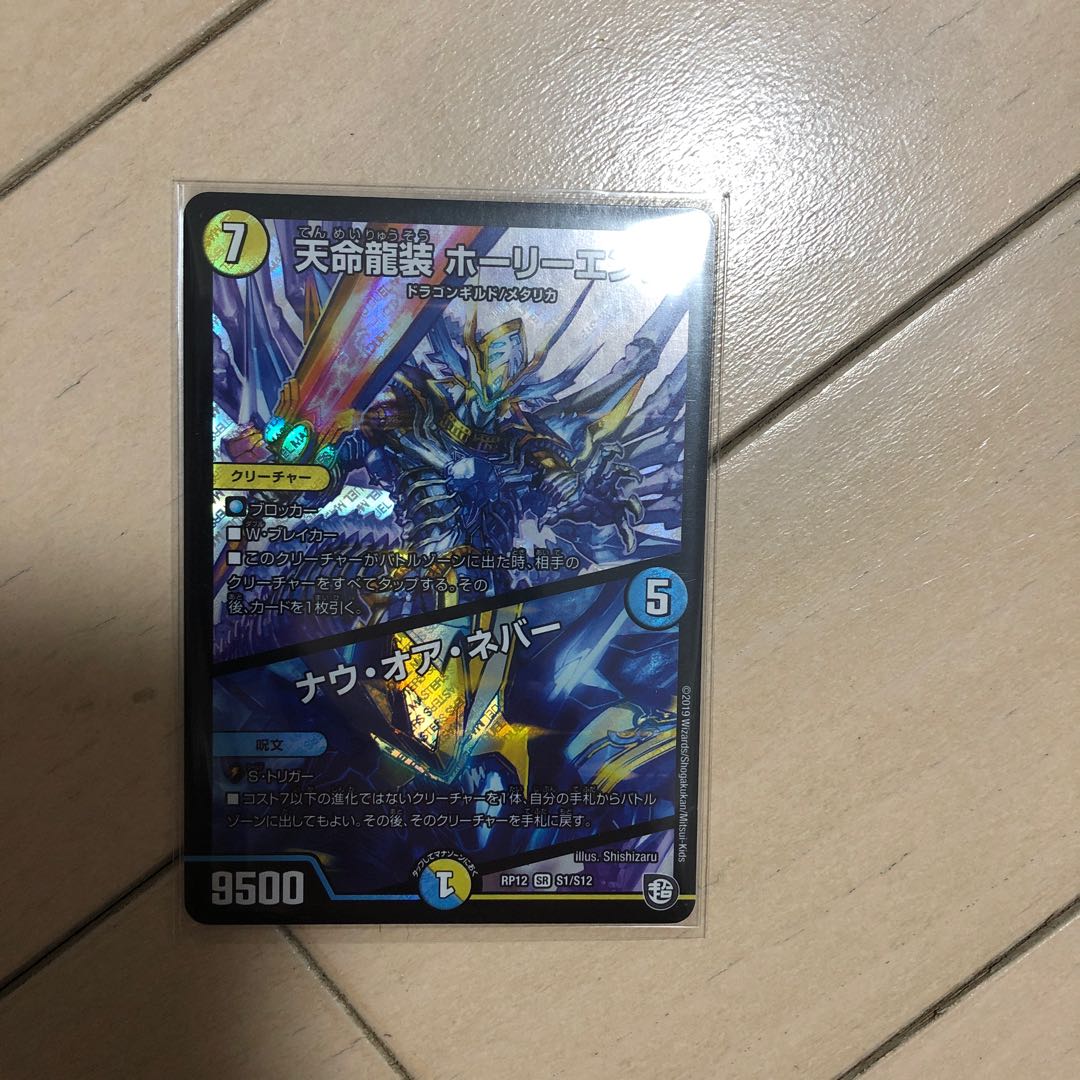 天命龍装 ホーリーエンド/ナウ・オア・ネバー