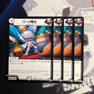 Knight of Paris Photo Frame 447