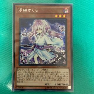 浮幽さくら(海外版イラスト) SE