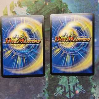 龍装05号 イヴィルヴィ｜イーヴィル・フォーズ ２枚