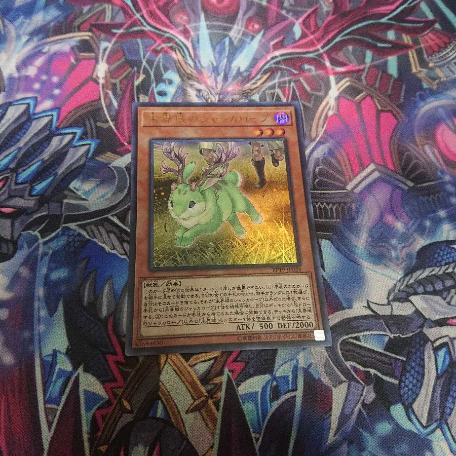 未界域のジャッカロープ 1枚