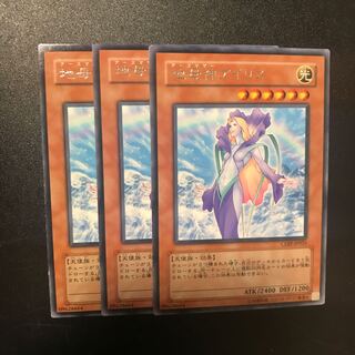 地母神アイリス R