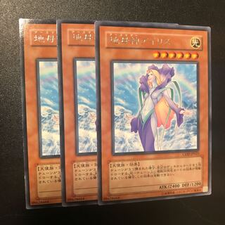 地母神アイリス R