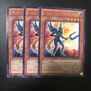 異次元の一角戦士 R