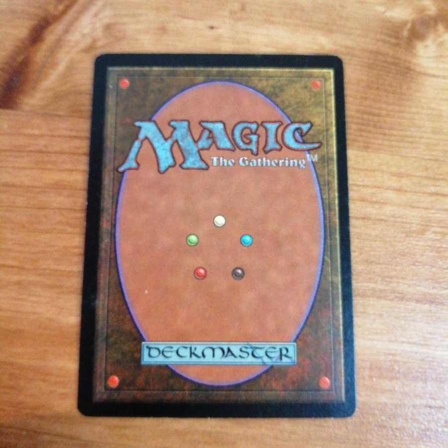 直観 intusion《英語》