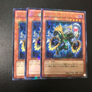 ヴェルズ・カイトス R