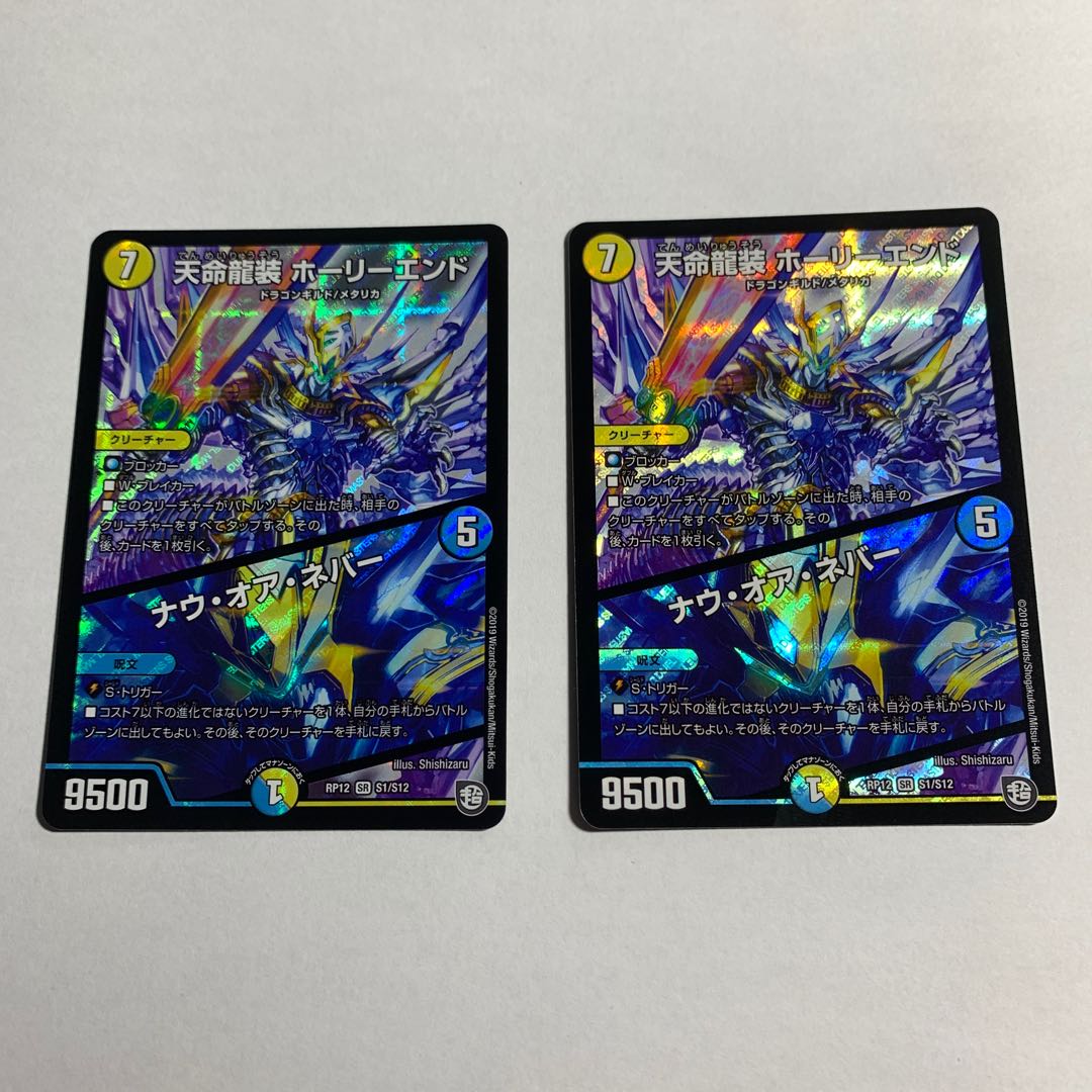 天命龍装 ホーリーエンド/ナウ・オア・ネバー