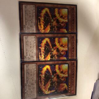 絶火の大賢者ゾロア3枚