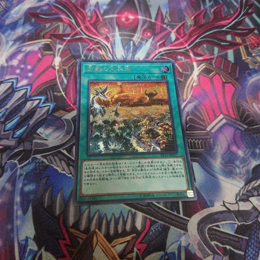 激動の未界域 シク 1枚