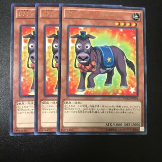 EMセカンドンキー R