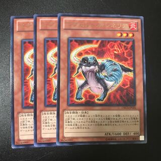 エヴォルド・カシネリア R