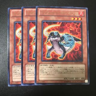 エヴォルド・カシネリア R