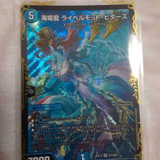 海姫龍 ライベルモット・ビターズ SR