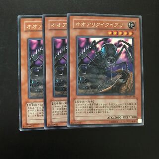 オオアリクイクイアリ R