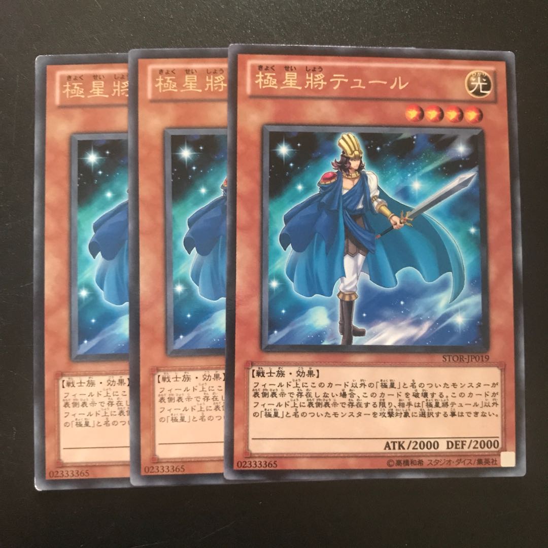 極星將テュール R