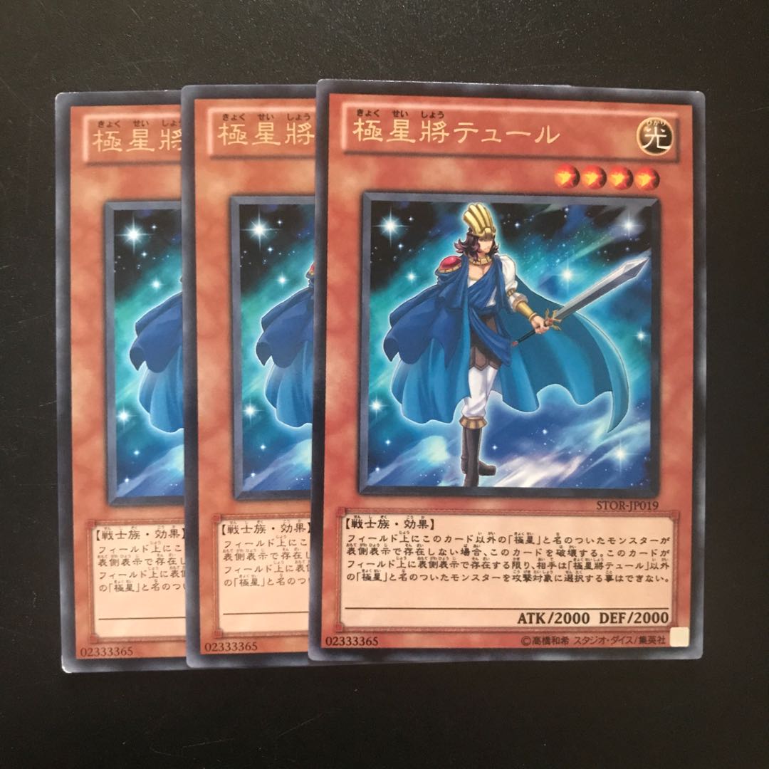 極星將テュール R