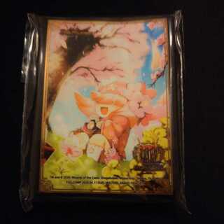 フェアリーライフ 名古屋 スリーブ 71fMp29YE8L._UF350,350_QL50_.jpg