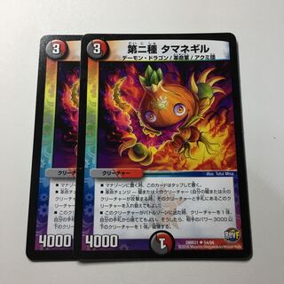 第二種タマネギル2枚