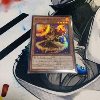 絶火の大賢者ゾロア