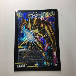 「雷光の聖騎士」ライトニングソードパラディン