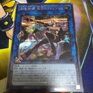 Tri-Brigade Ferrijit the Barren Blossom SE