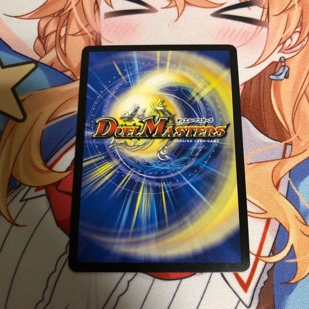 「絶対の楯騎士」