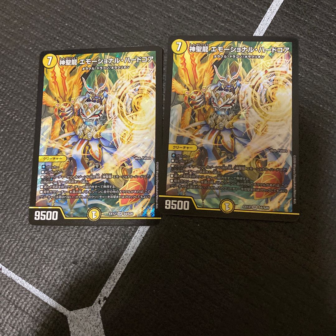 神聖龍 エモーショナル・ハードコア 二枚 翌日発送