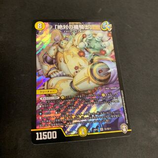 「絶対の楯騎士」