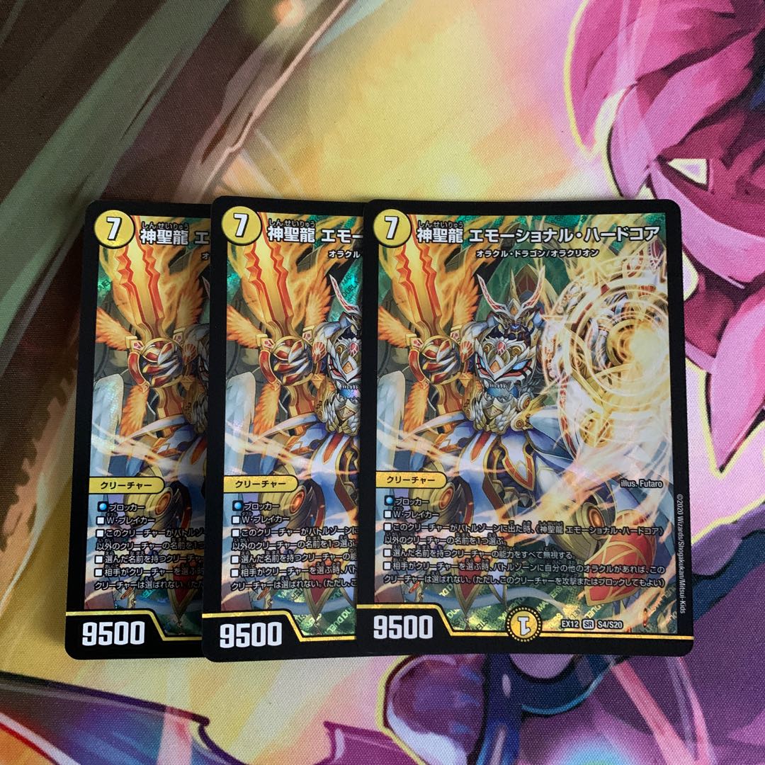 神聖龍 エモーショナル・ハードコア