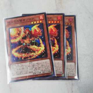 絶火の大賢者ゾロア(スーパーレア）３枚