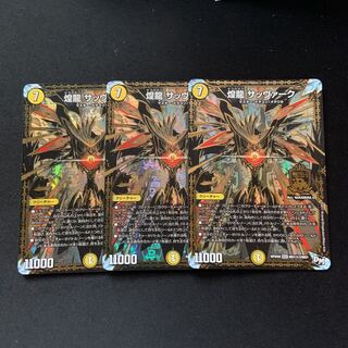 煌龍 サッヴァーク